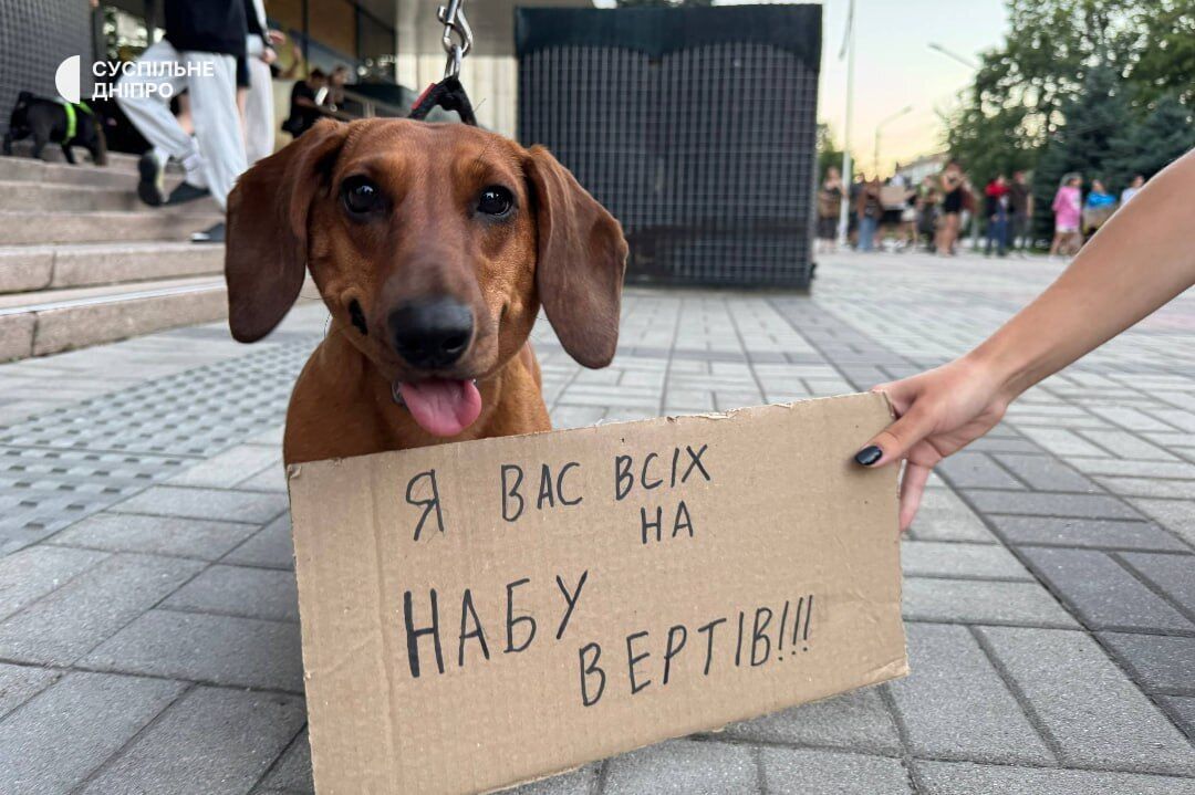 В Украине третий день подряд проходят акции протеста против закона о НАБУ и САП. Фото и видео