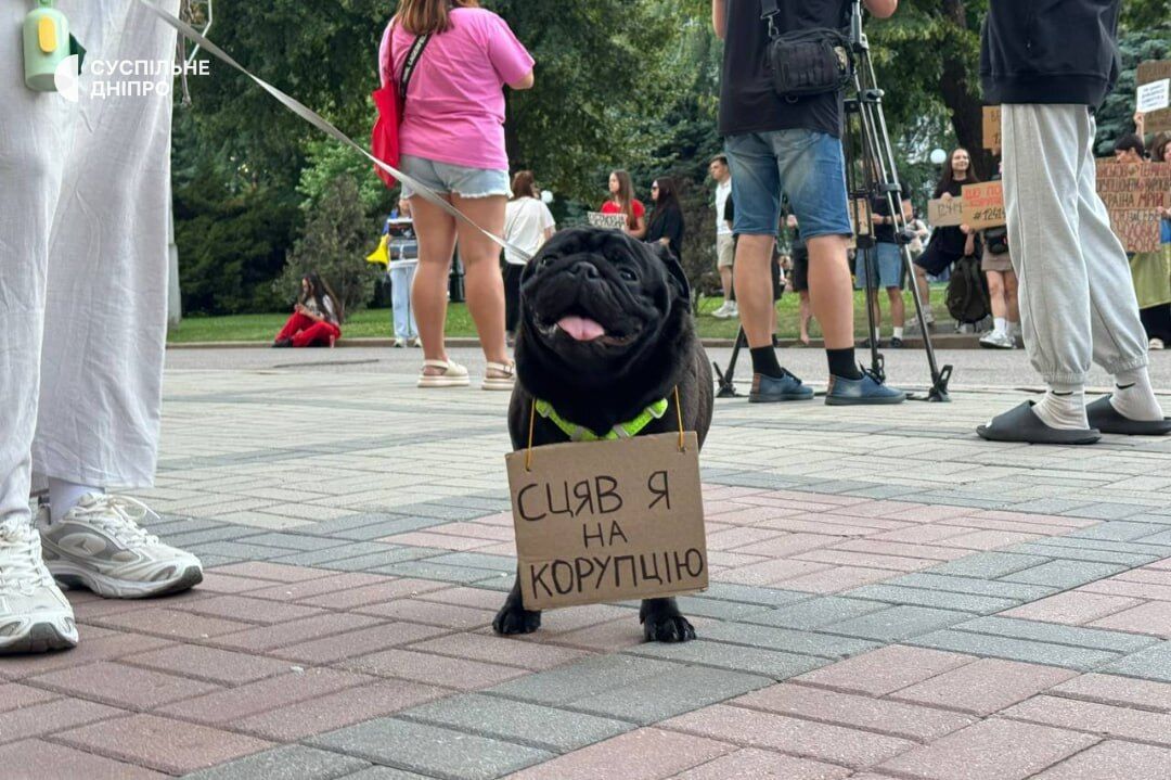 В Украине третий день подряд проходят акции протеста против закона о НАБУ и САП. Фото и видео