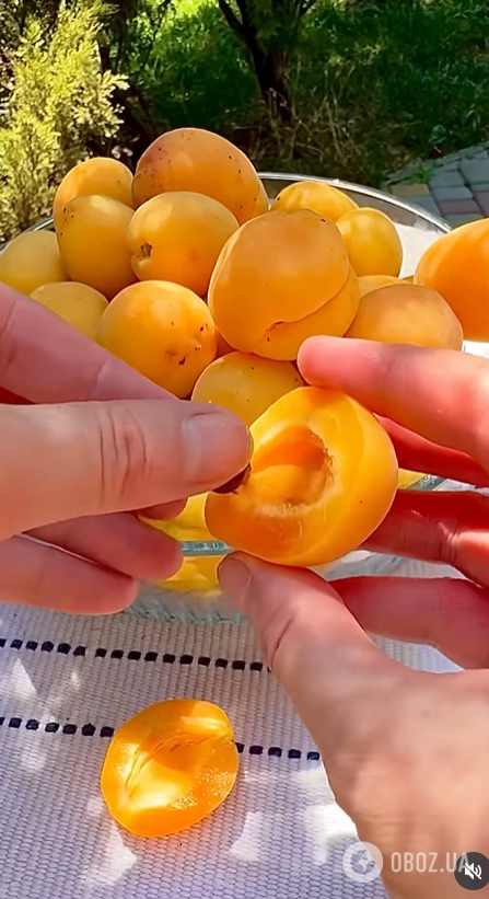 Абрикосы в сиропе на зиму: рецепт вкусной консервации вместо любых десертов