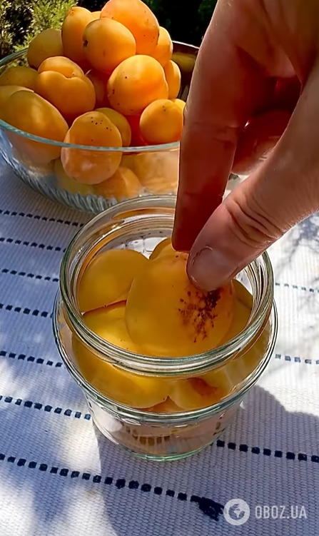 Абрикосы в сиропе на зиму: рецепт вкусной консервации вместо любых десертов