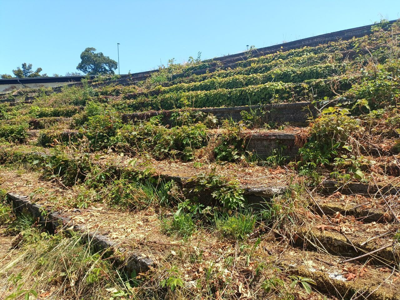 Заброшен и разрушен: как сейчас выглядит стадион в Словении, где Шовковский пропустил гол с центра поля. Фото