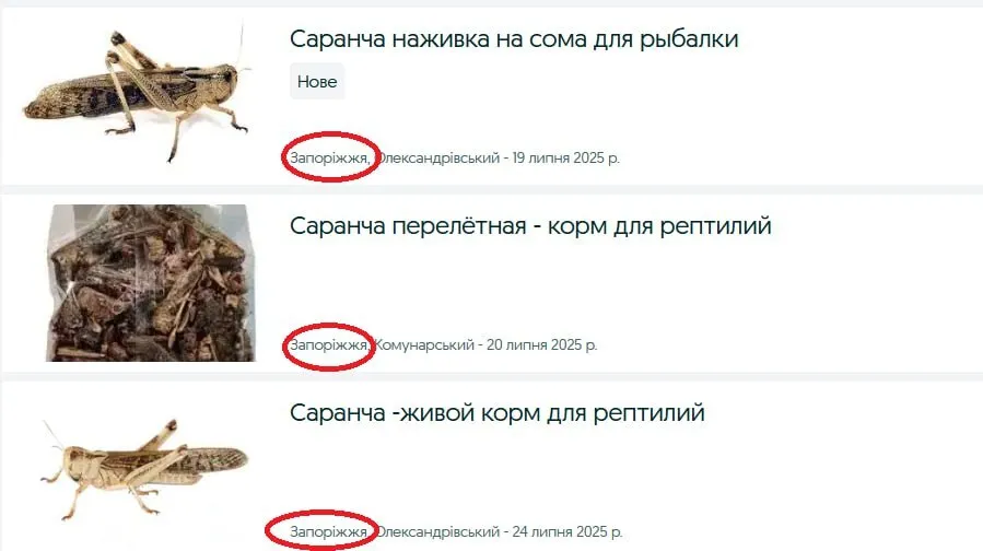 Як у Запоріжжі заробляють на комахах
