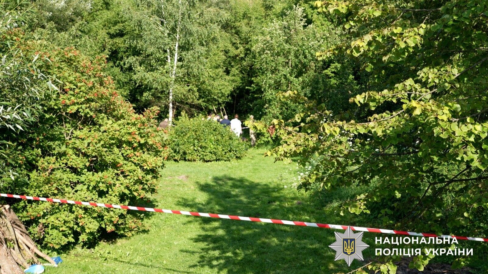 Тело нашли в лесополосе: на Сумщине задержали киевлянина, который убил 17-летнюю девушку. Видео