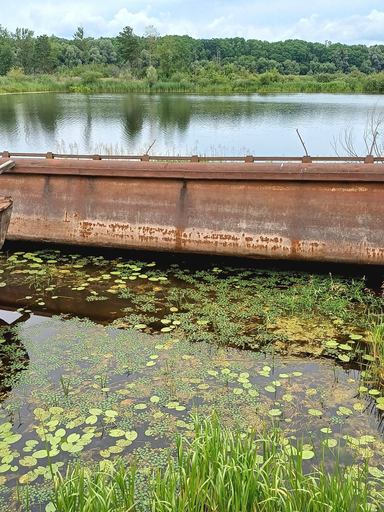 Забытая гавань речного флота: как сегодня выглядит кладбище судов в Чернобыльской зоне. Фото