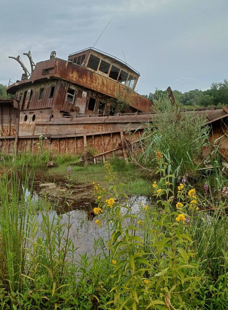 Забытая гавань речного флота: как сегодня выглядит кладбище судов в Чернобыльской зоне. Фото