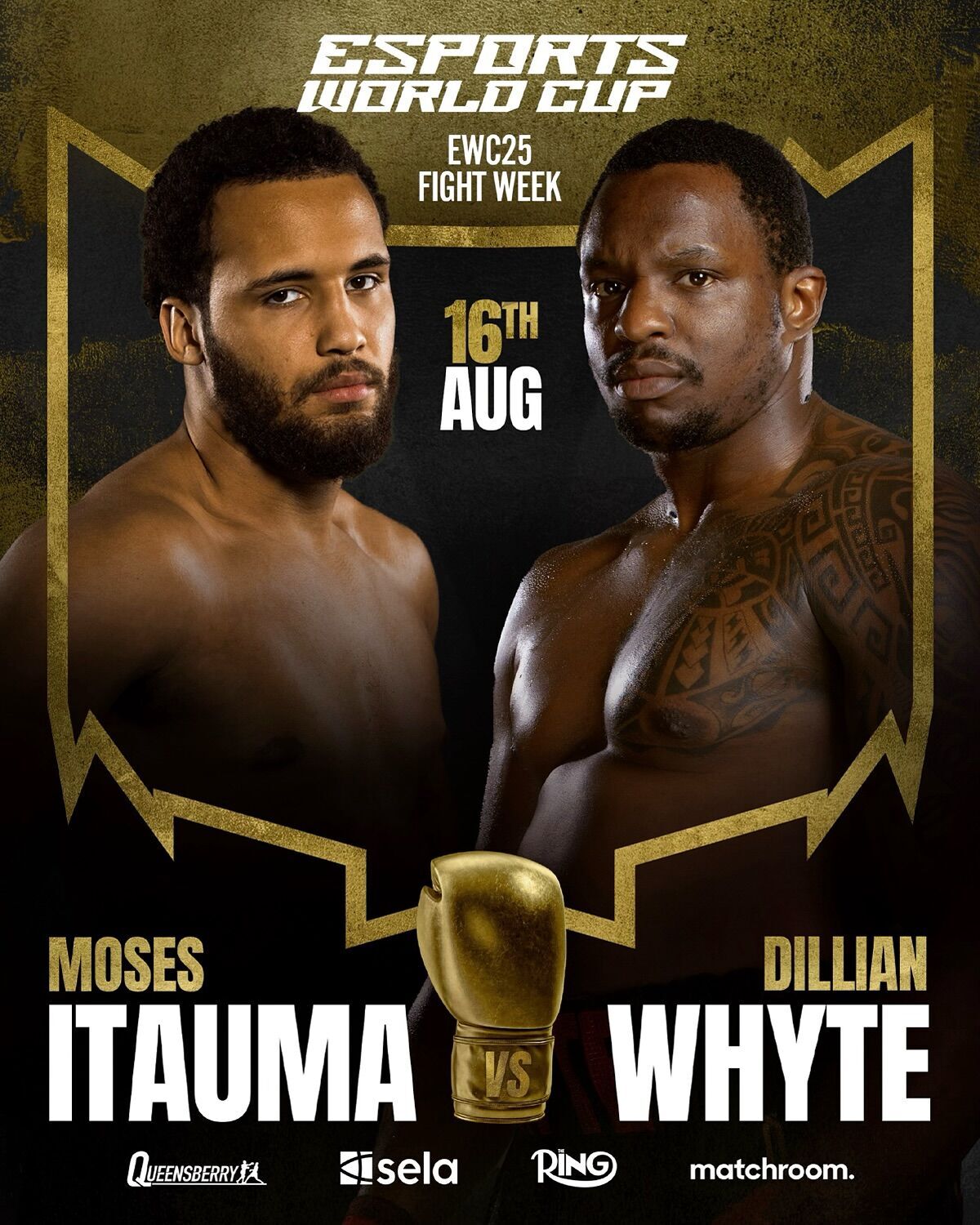 Штучний інтелект зробив прогноз на наступний бій "Нового Усика"