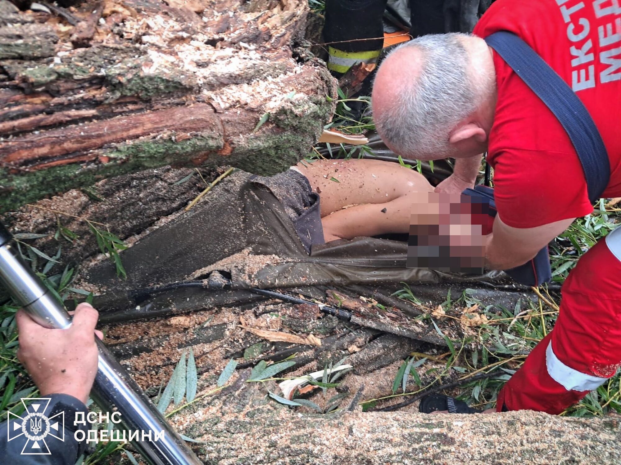 В Одесской области в результате непогоды погиб подросток: еще четверо детей травмированы. Фото