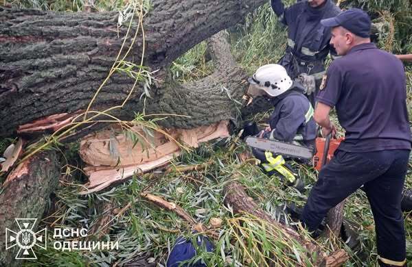 В Одесской области в результате непогоды погиб подросток: еще четверо детей травмированы. Фото