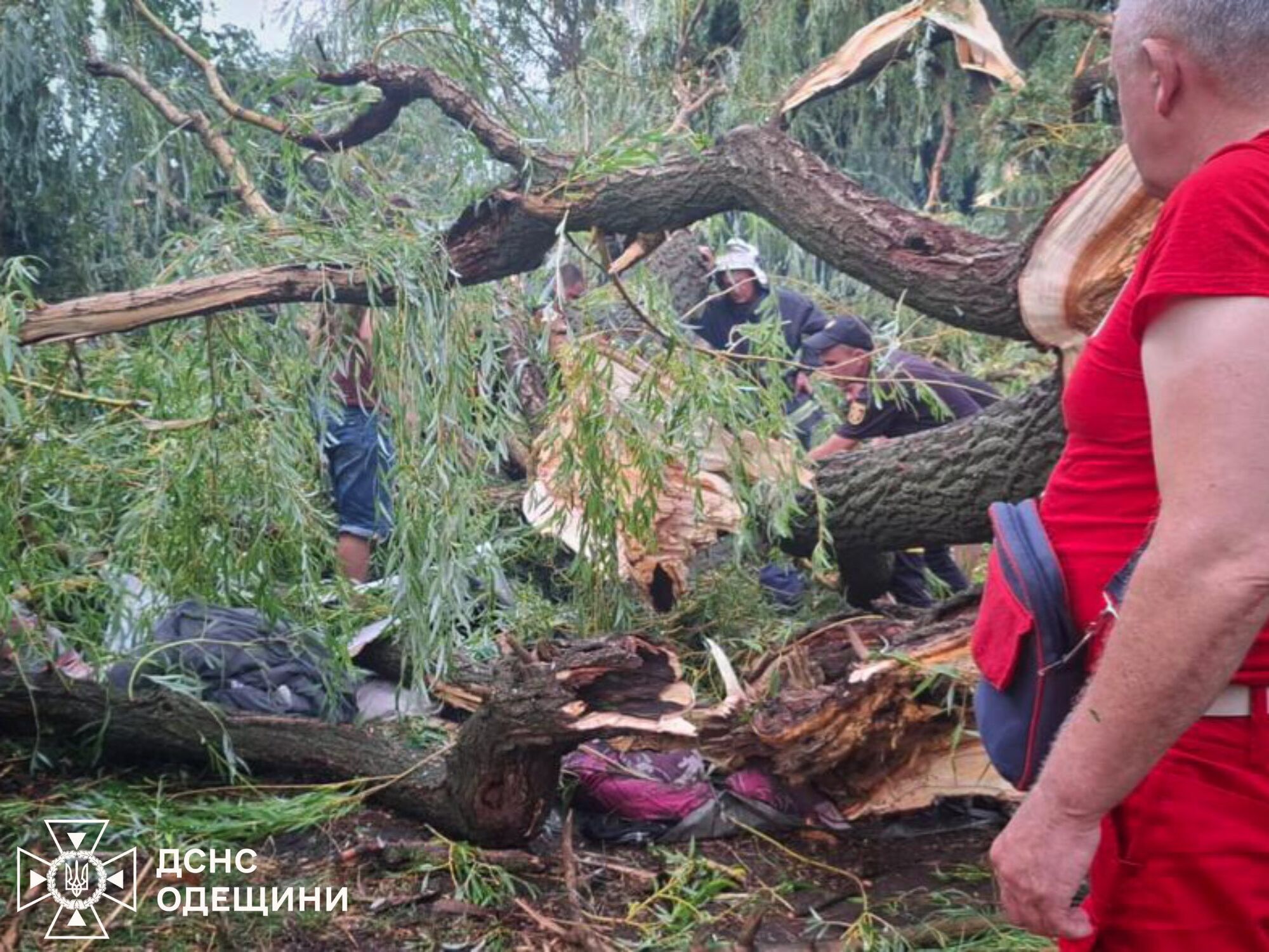 В Одесской области в результате непогоды погиб подросток: еще четверо детей травмированы. Фото