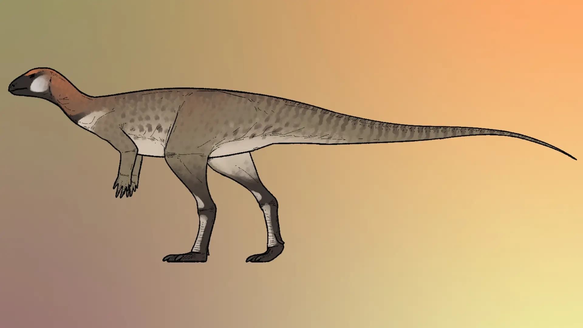 Щебетал, как птица: в Китае обнаружили новый вид динозавров: в Китае обнаружили новый вид динозавров