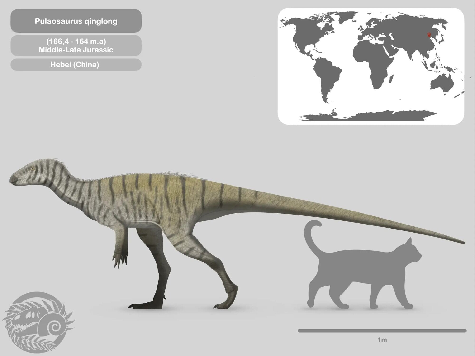 Щебетал, как птица: в Китае обнаружили новый вид динозавров: в Китае обнаружили новый вид динозавров