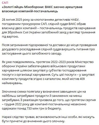 Суд заочно поместил Татьяну Глиняную под стражу