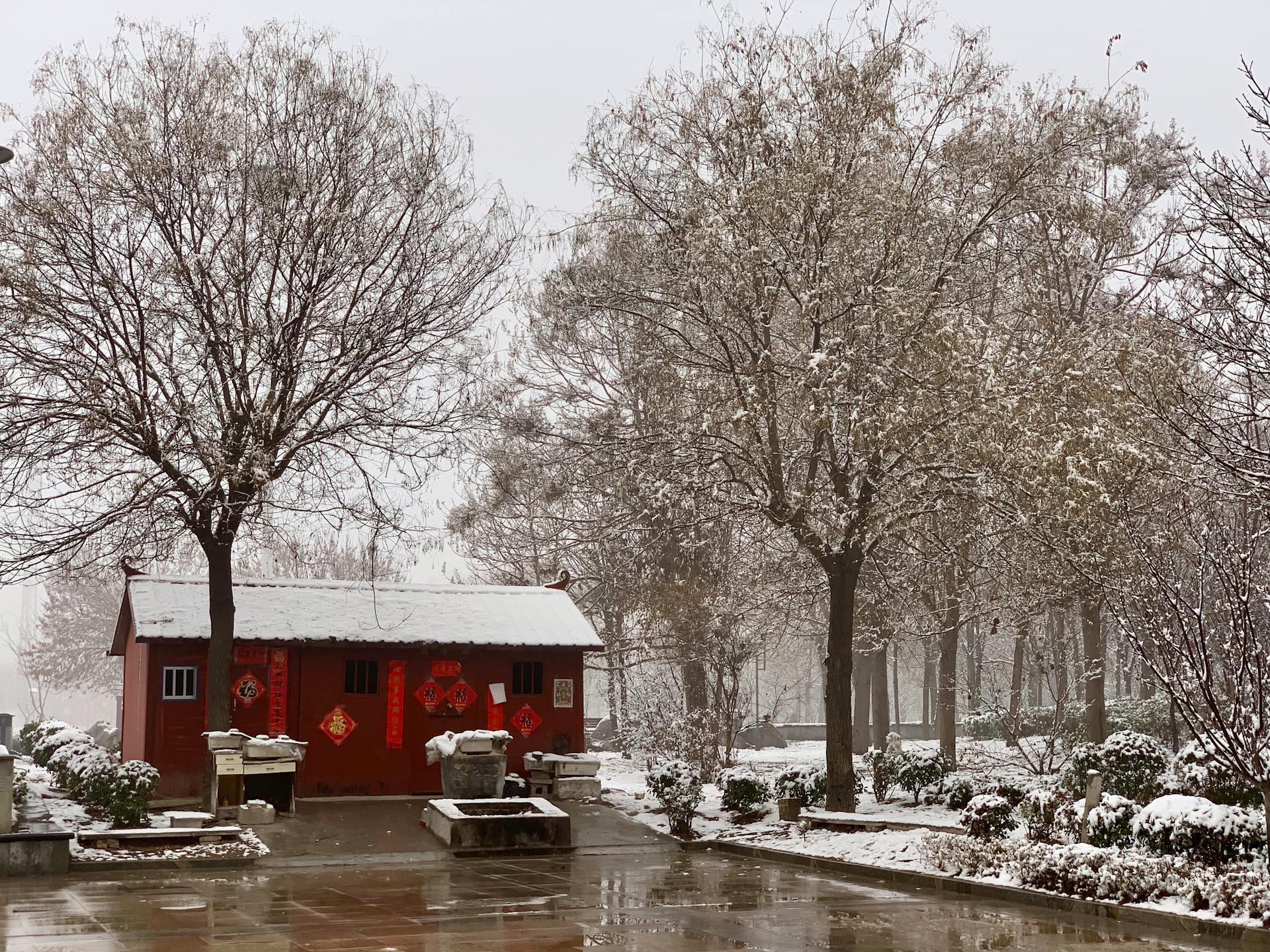 Вчені заявили, що на Землі зʼявляються нові пори року: які саме і чому