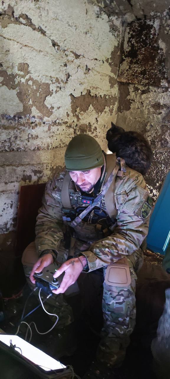 Фестиваль кофе "Филижанка" объединит украинцев ради помощи защитникам Украины