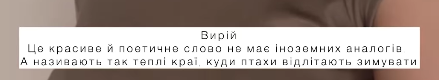 Шість українських слів, які складно перекласти іншими мовами: що вони означають