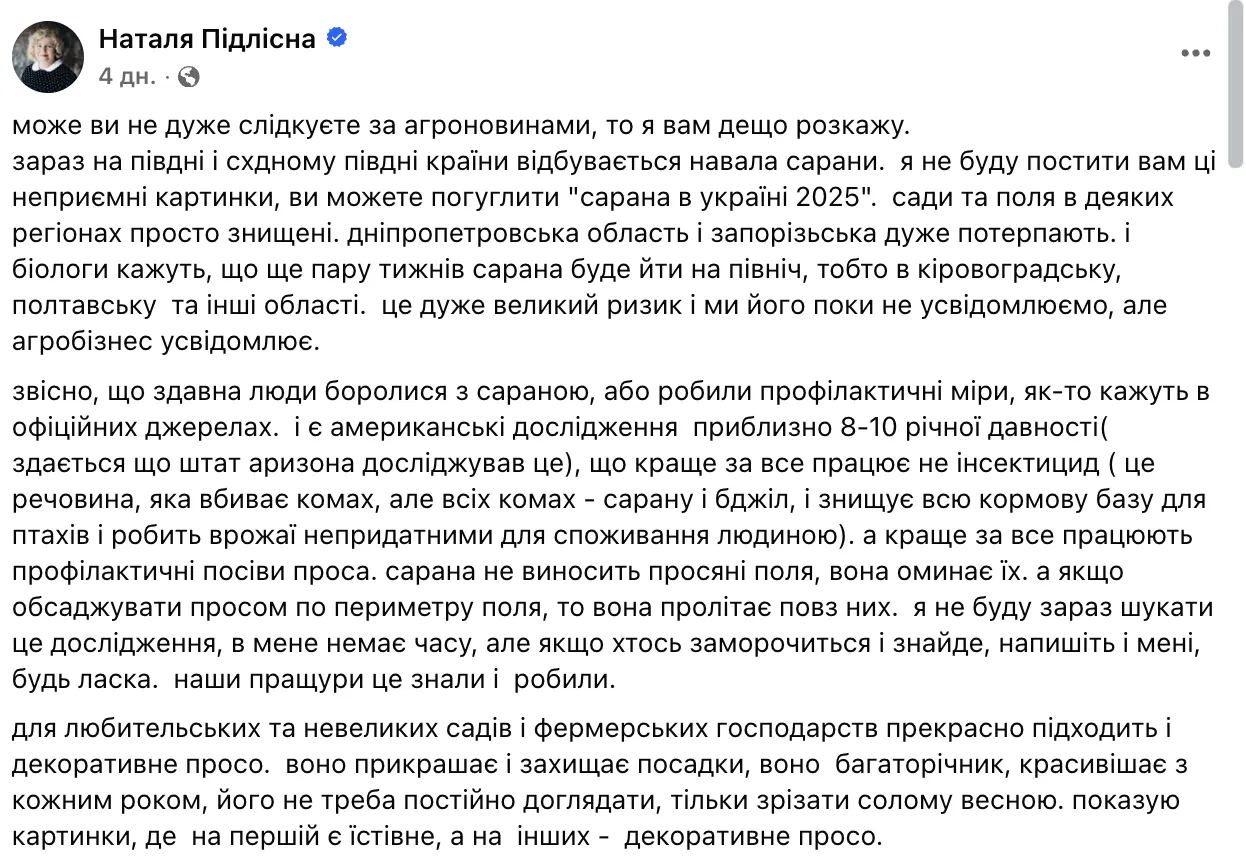 Нашестя сарани в Україні: у мережі згадали про рослину, через яку шкідник з жахом оминає поля. Фото