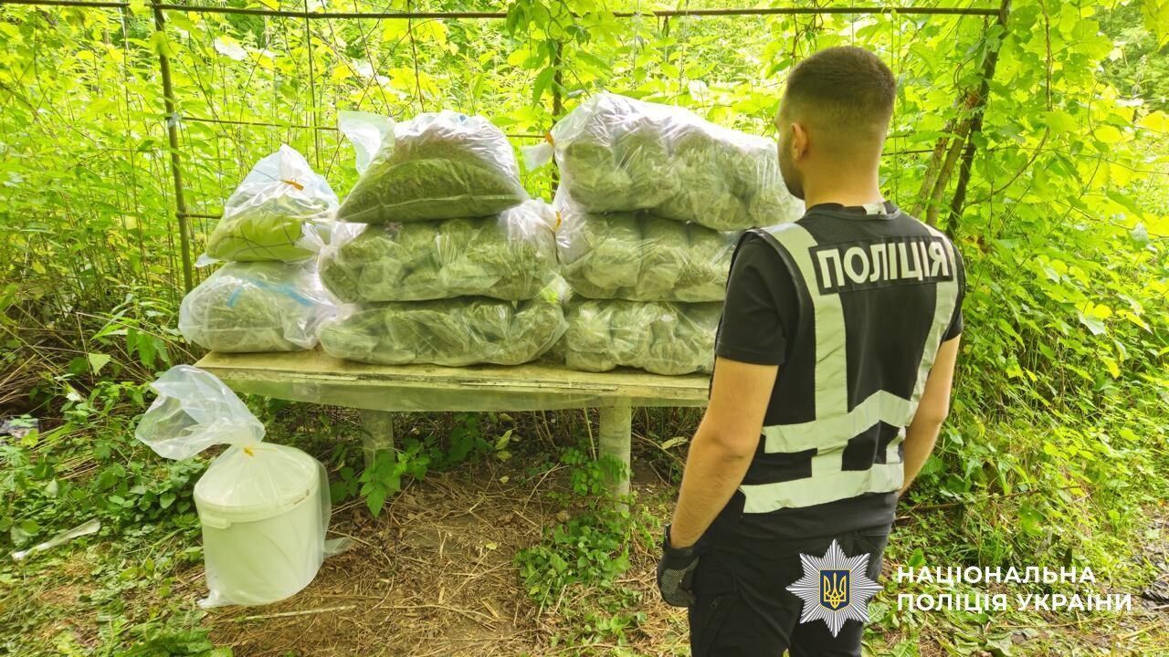Нацполіція ліквідувала банду, яка щомісячно заробляла 20 млн грн на наркоторгівлі. Фото