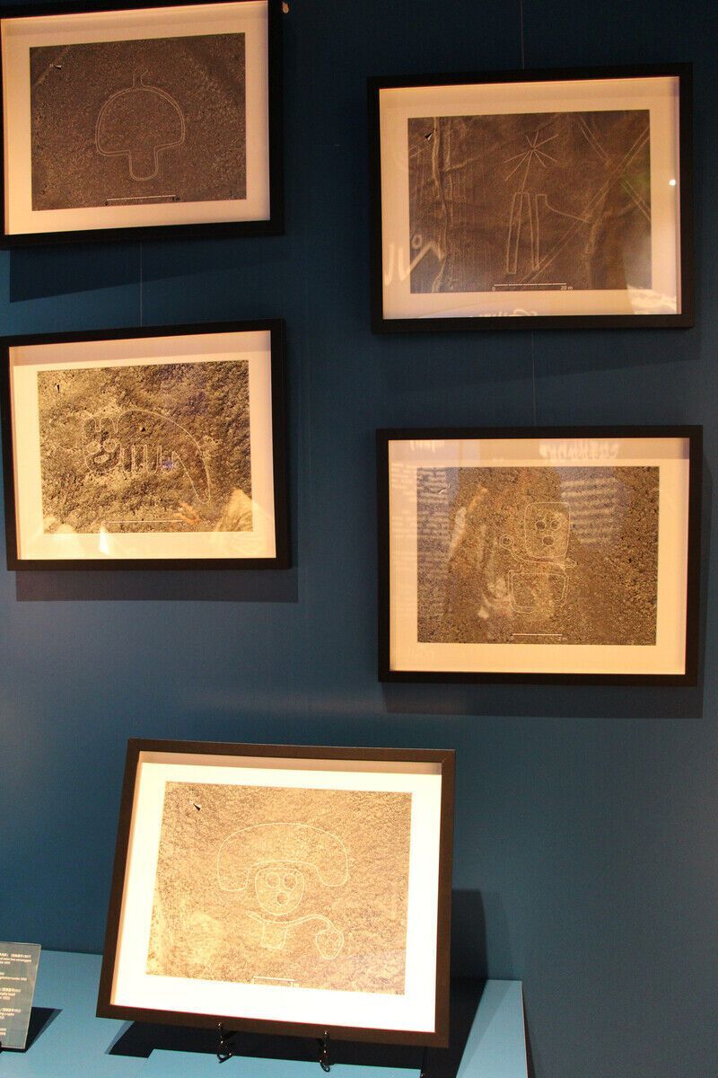 Священник з відрубаною головою і не лише: на плато Наска у Перу виявили майже 250 нових геогліфів. Фото