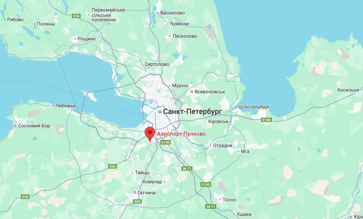 Чекали на українські дрони: в аеропорту Москви затримали і скасували близько 170 рейсів, пасажирів тримали на підлозі. Відео