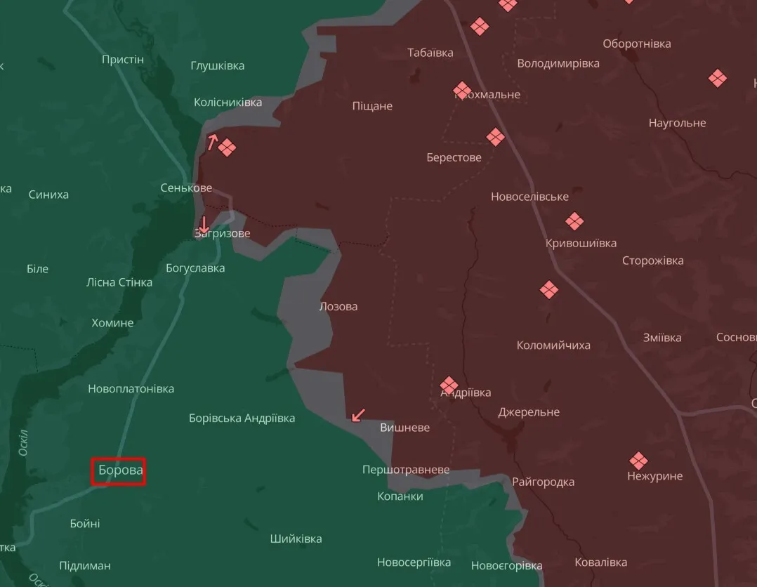 Борова бої rtiqhhireiqttzrz