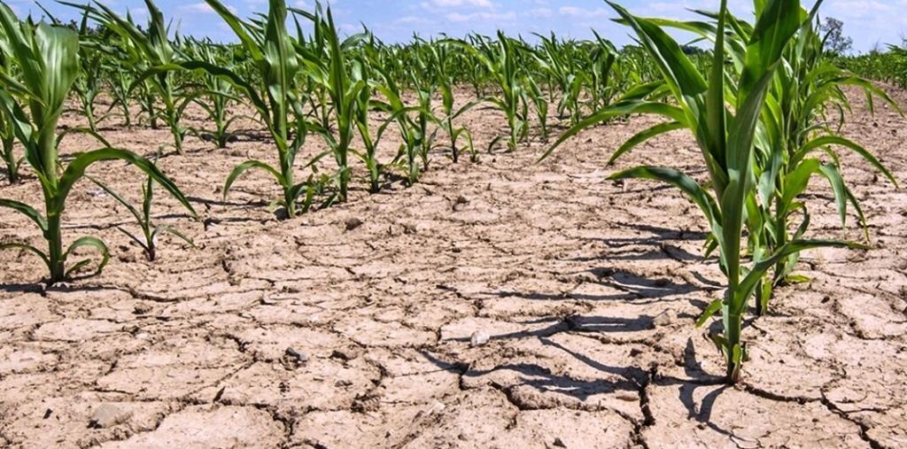 Крим знову без води: жителям її подають по годинах, а через посуху на окупованому півострові оголосили надзвичайну ситуацію