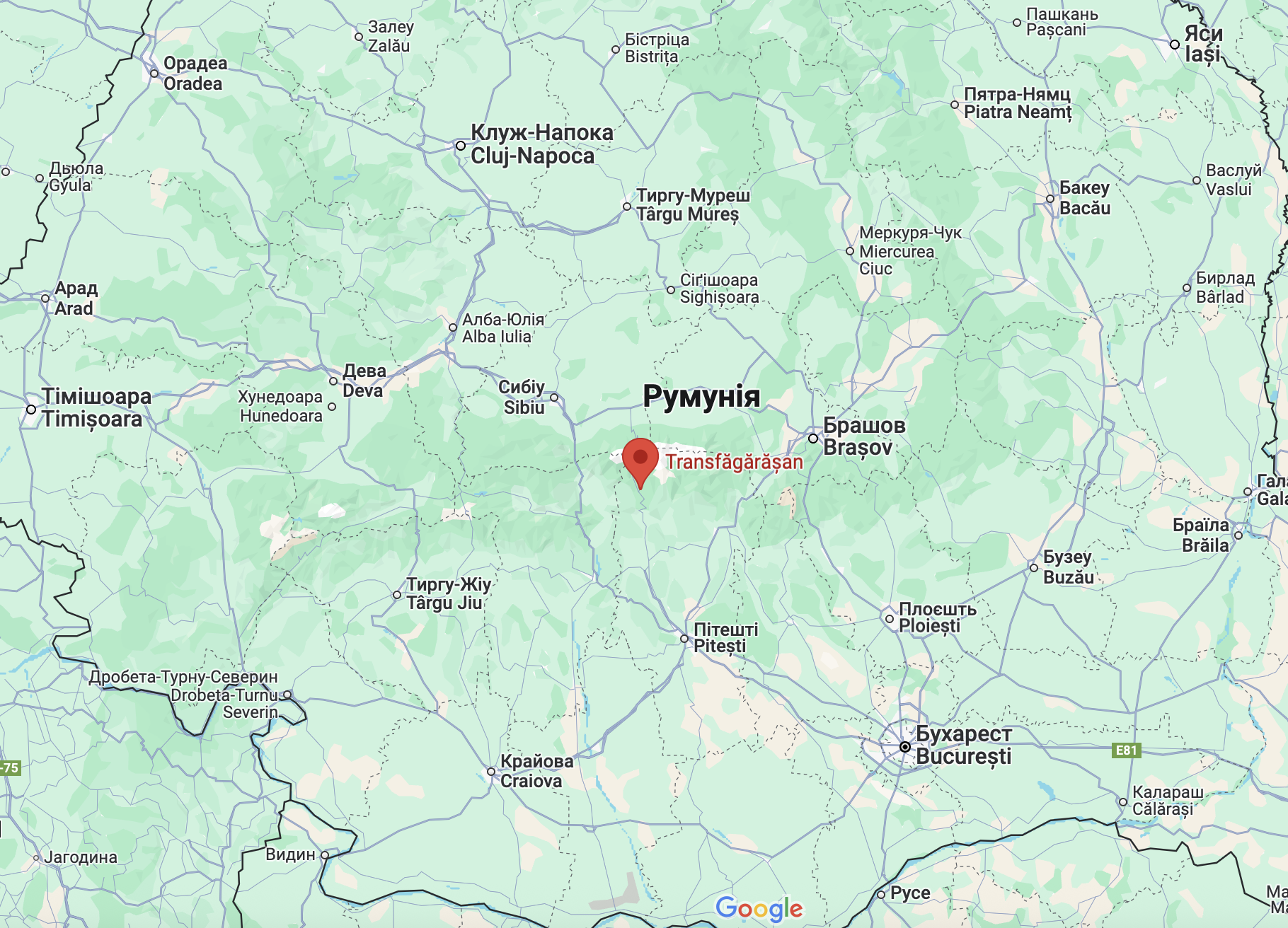 Претендент на премию Дарвина: в румынских Карпатах медведь загрыз туриста, который полез делать с ним селфи. Фото и видео