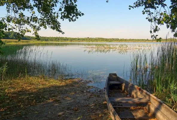 Озера біля Світязя для купання та риболовлі