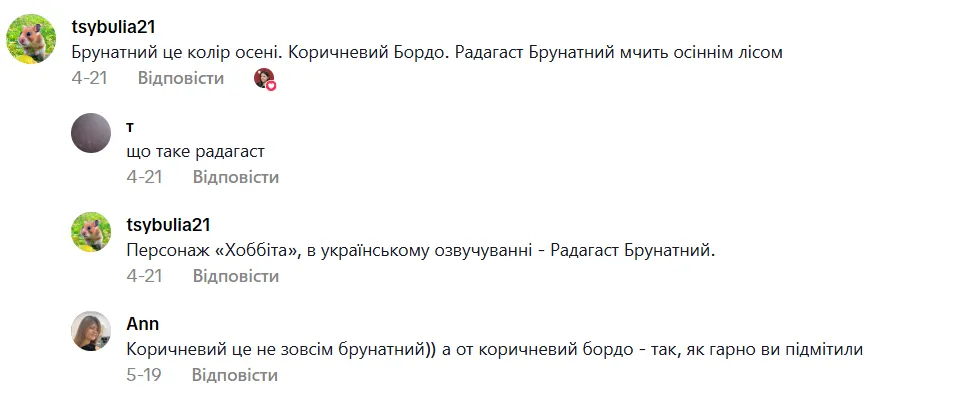 Що таке брунатний? Українців обурило слово з тесту на НМТ, яке ''не використовують у житті''