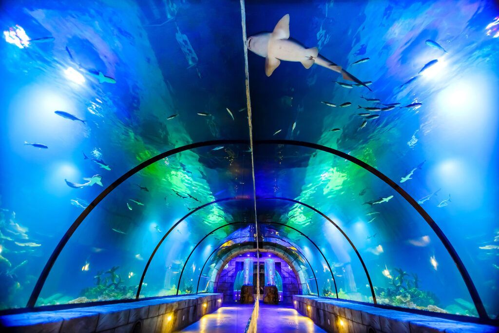 Интересное для детей во Львове