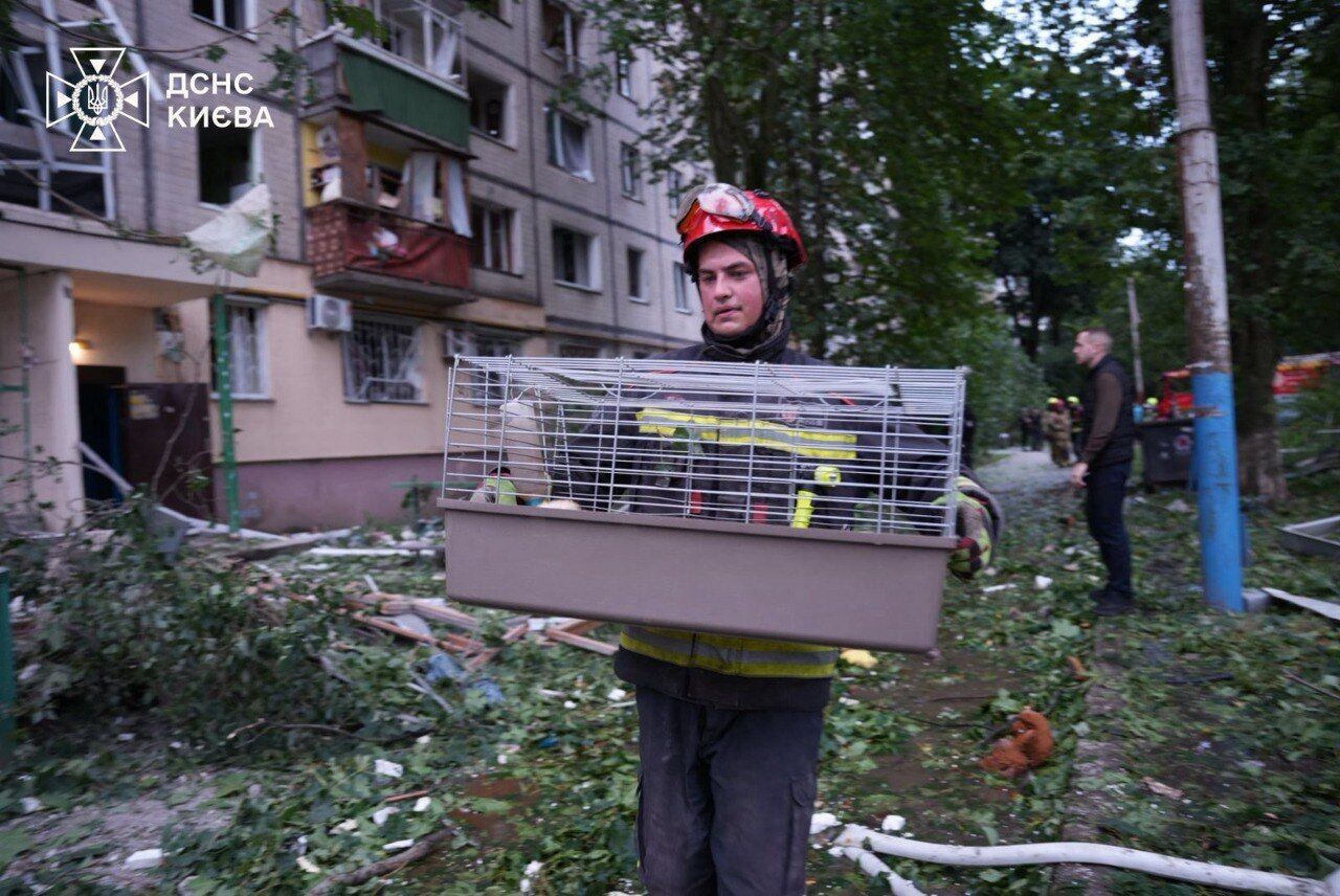 "Дрожал, не понимал, что происходит": в Киеве из-под завалов спасли кота, владельцев которого убила российская ракета. Фото