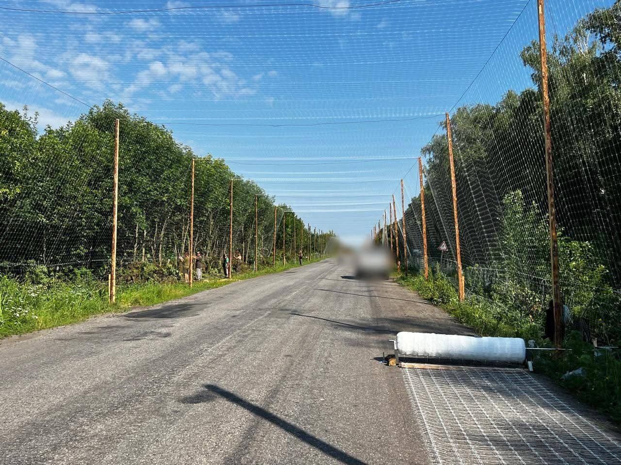 На Сумщине обустроили десятки километров "антидронових тоннелей" для защиты военных и гражданских. Фото