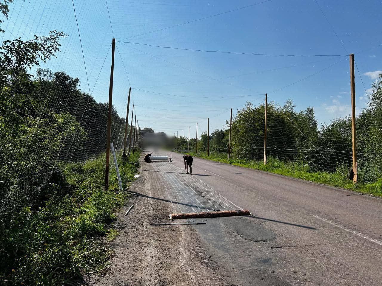 На Сумщине обустроили десятки километров "антидронових тоннелей" для защиты военных и гражданских. Фото