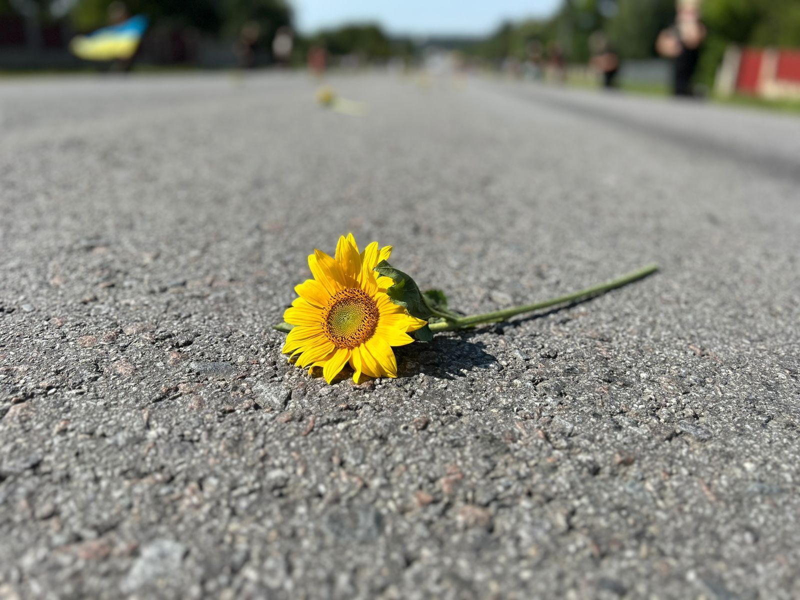 Вічна пам'ять та шана Герою: у боях на Харківщині загинув захисник із Тернопільської області. Фото