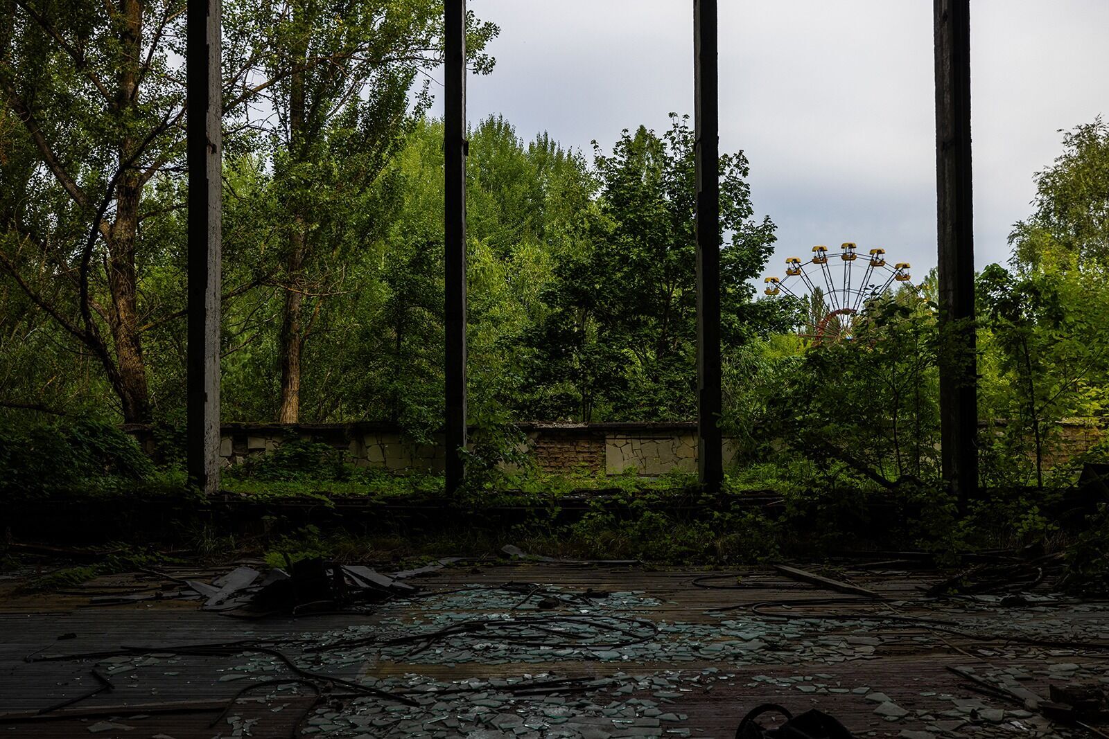 Индустриальная красота сталкивается с дикой природой: как выглядит Чернобыльская зона в августе. Атмосферные фото