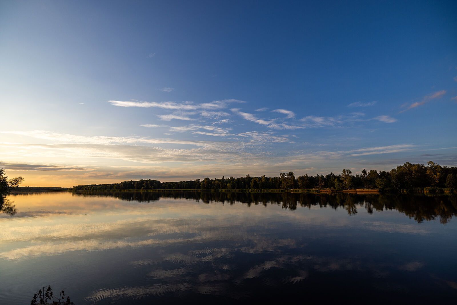 Индустриальная красота сталкивается с дикой природой: как выглядит Чернобыльская зона в августе. Атмосферные фото