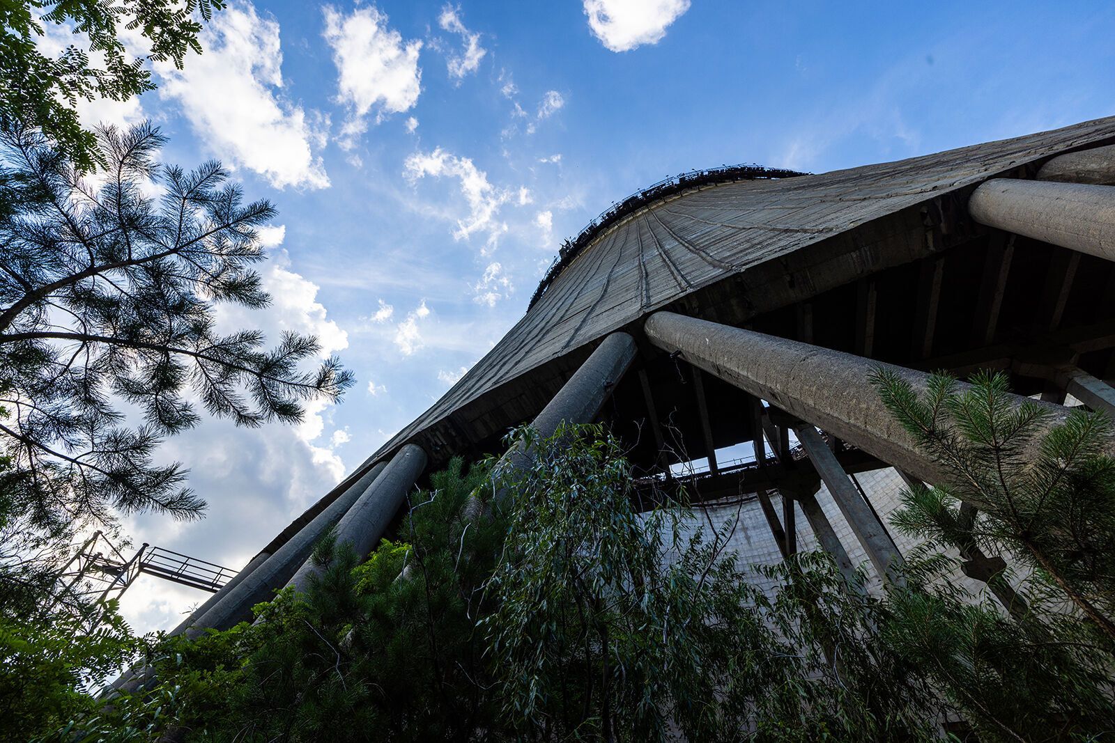 Индустриальная красота сталкивается с дикой природой: как выглядит Чернобыльская зона в августе. Атмосферные фото