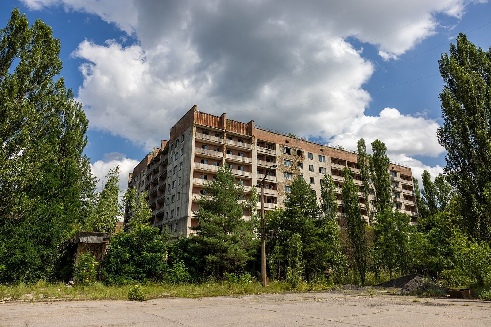 Индустриальная красота сталкивается с дикой природой: как выглядит Чернобыльская зона в августе. Атмосферные фото