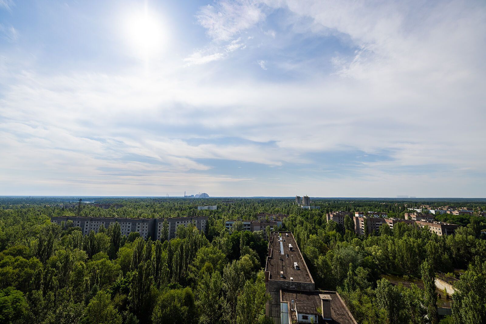Индустриальная красота сталкивается с дикой природой: как выглядит Чернобыльская зона в августе. Атмосферные фото
