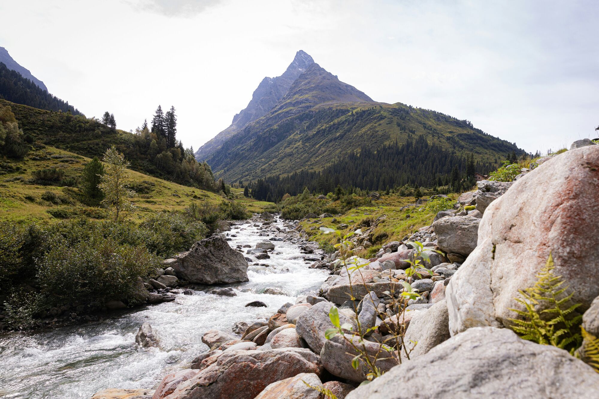 Не только горнолыжные курорты: где отдохнуть летом в Альпах