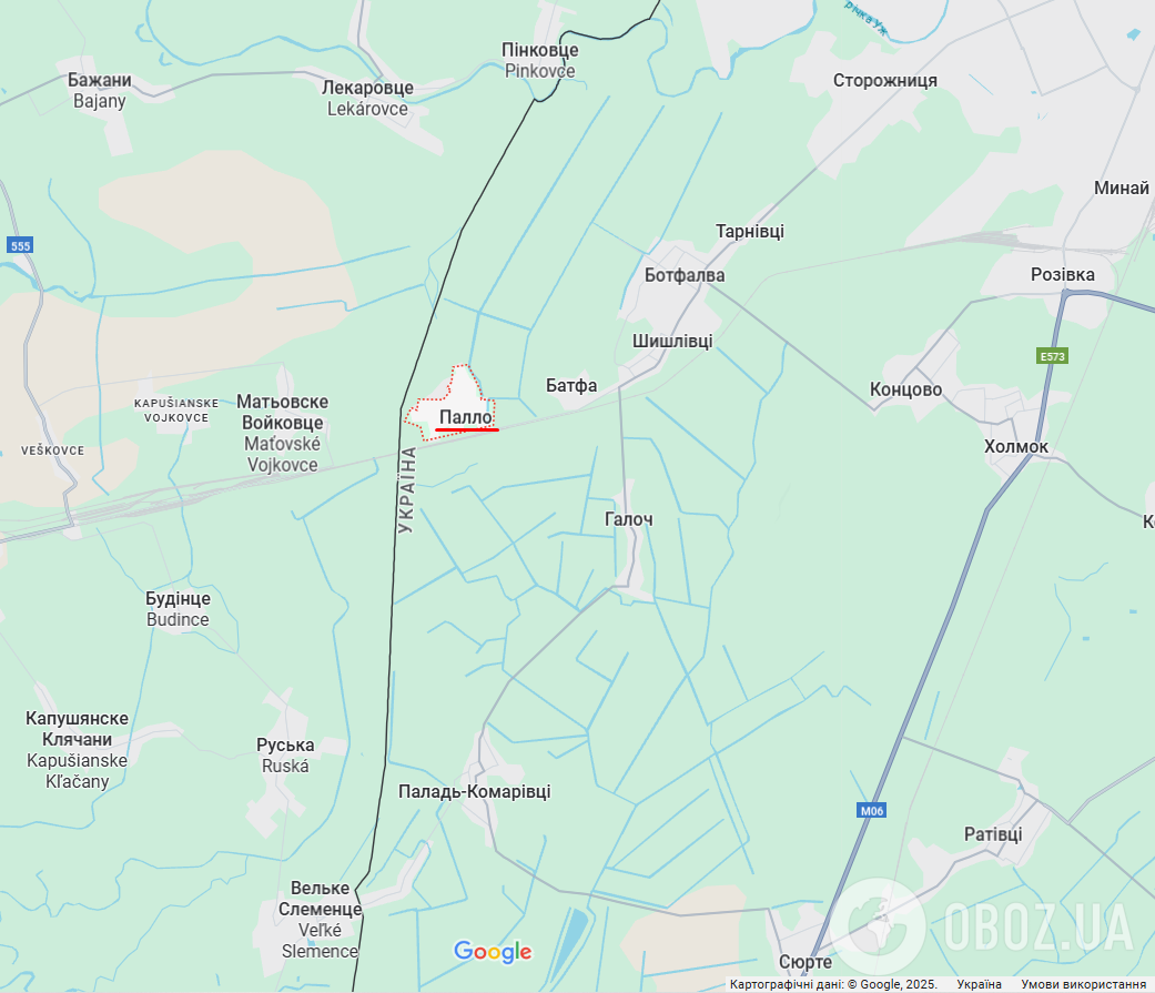 На Закарпатье задержали 19 уклонистов, которые пытались незаконно попасть в Словакию. Видео