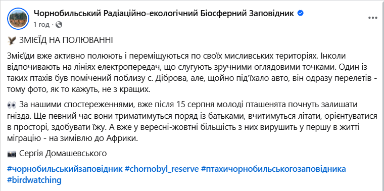 В Чернобыльской зоне заметили редкого хищника, который охотится на змей. Фото