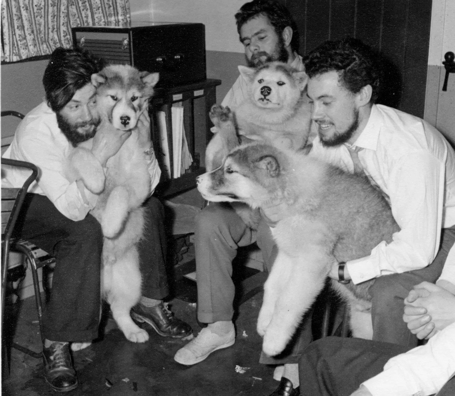 В леднике в Антарктиде нашли останки британского исследователя, который погиб 66 лет назад