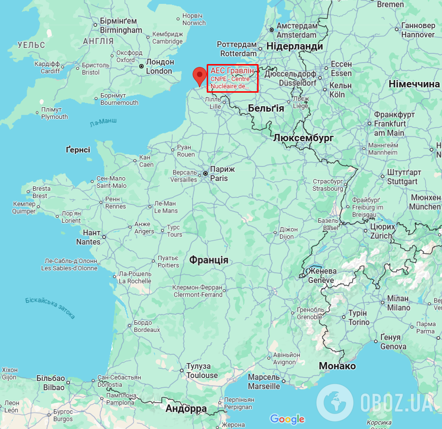 Крупнейшая АЭС Франции приостановила работу из-за нашествия медуз: экологи назвали причину