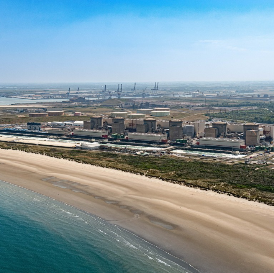 Крупнейшая АЭС Франции приостановила работу из-за нашествия медуз: экологи назвали причину