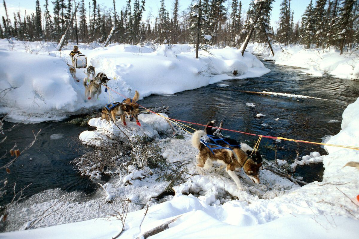 Чем знаменита спортивная Аляска: интересные факты о штате, где пройдет встреча Трампа и Путина