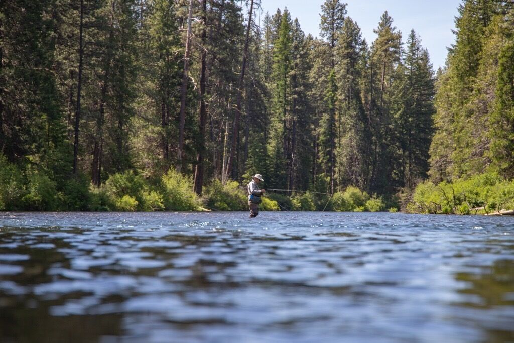 Топ-5 городов США, которые стоит посетить в 2025 году: неожиданный список