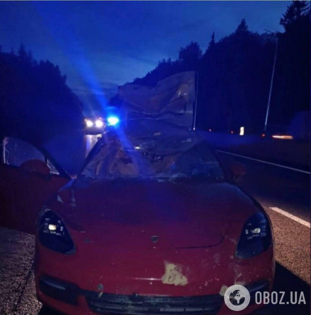 Лось влетів у лобове скло: "Міс Росія Всесвіт" загинула в ДТП, але про це згадали лише через місяць. Фото