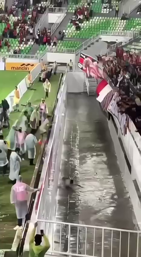 Футболист сборной Индонезии провалился в ров, празднуя гол. Видео