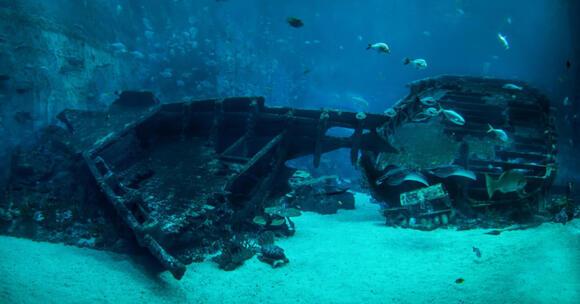 Взрыв 1748 года возле США: археологи нашли обломки испанского корабля