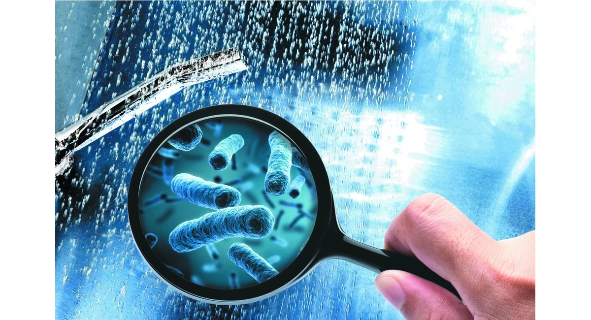 Пляжи на которых запрещено купаться